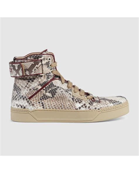 gucci python high top sneakers|Gucci high top shoes.